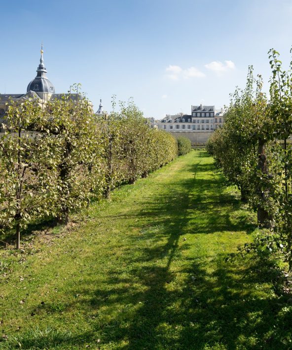 Potager du roi