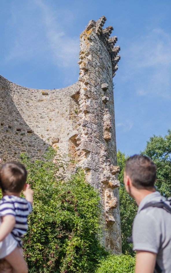 Château de la Madeleine à Chevreuse