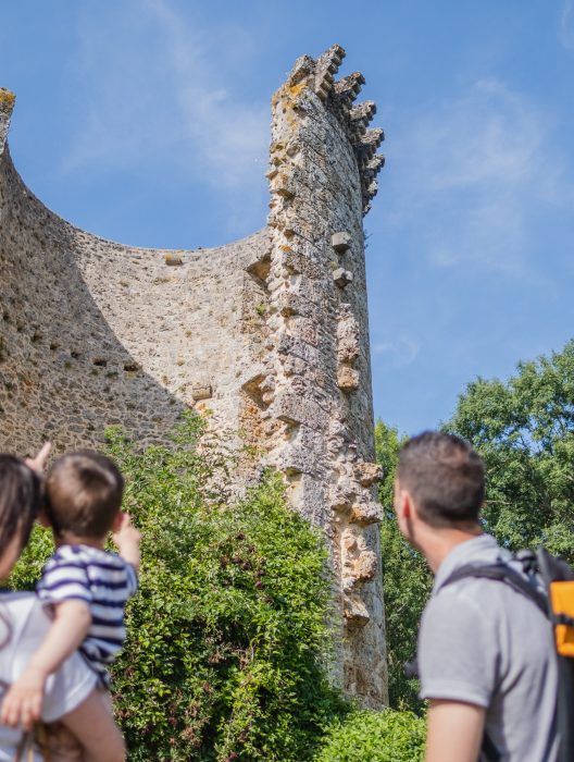 Château de la Madeleine à Chevreuse