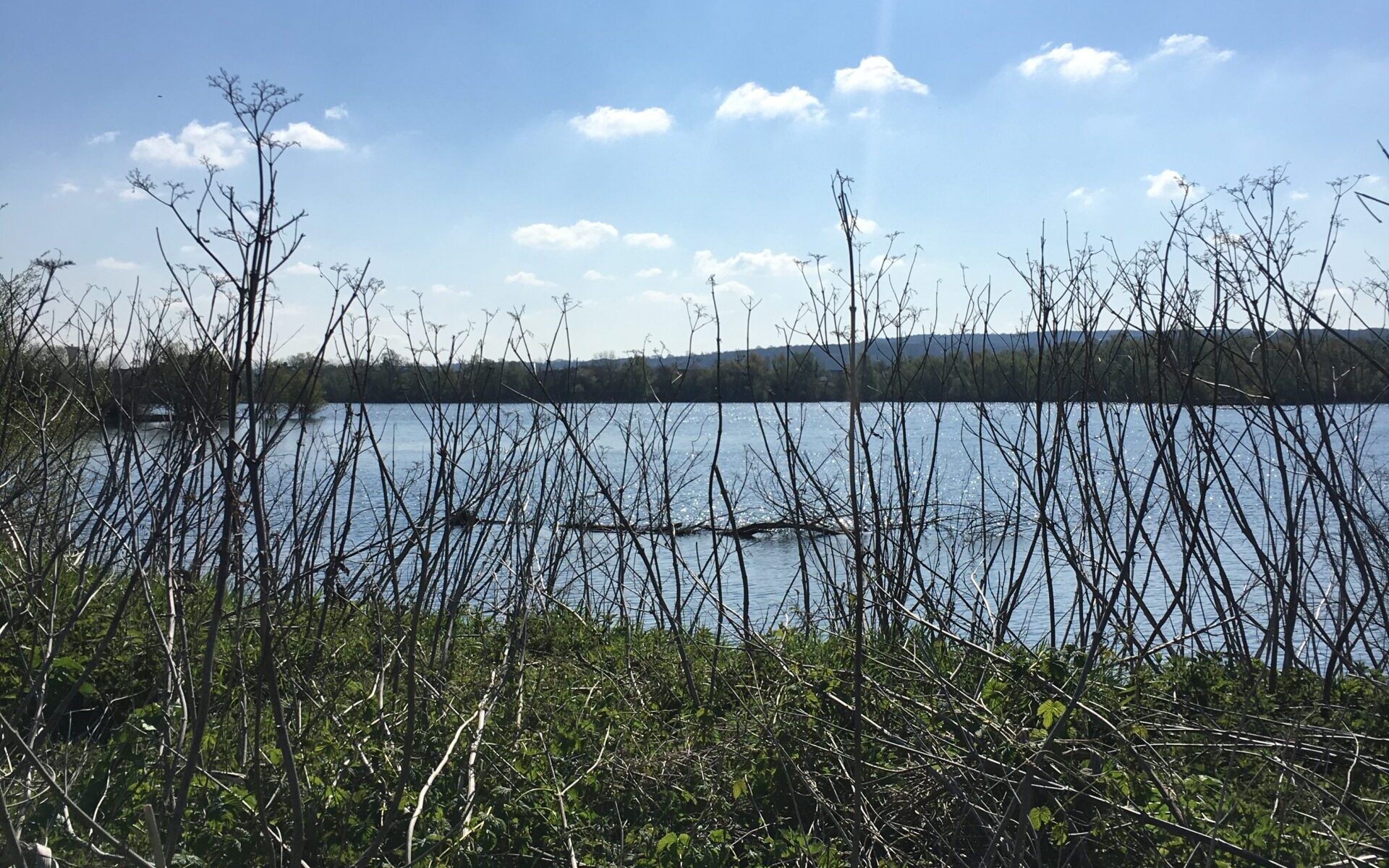 Biotope d'Epône