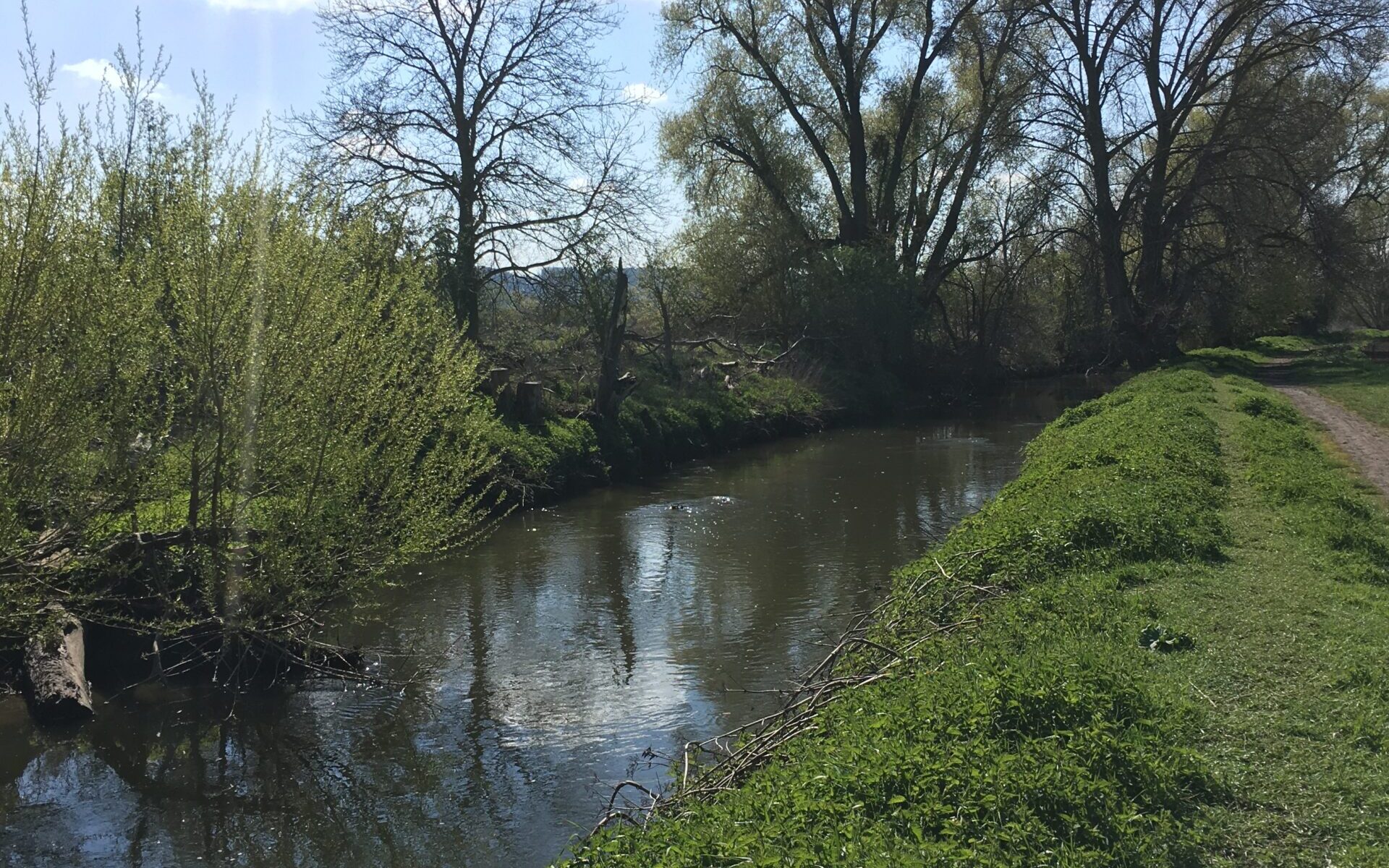 Biotope d'Epône