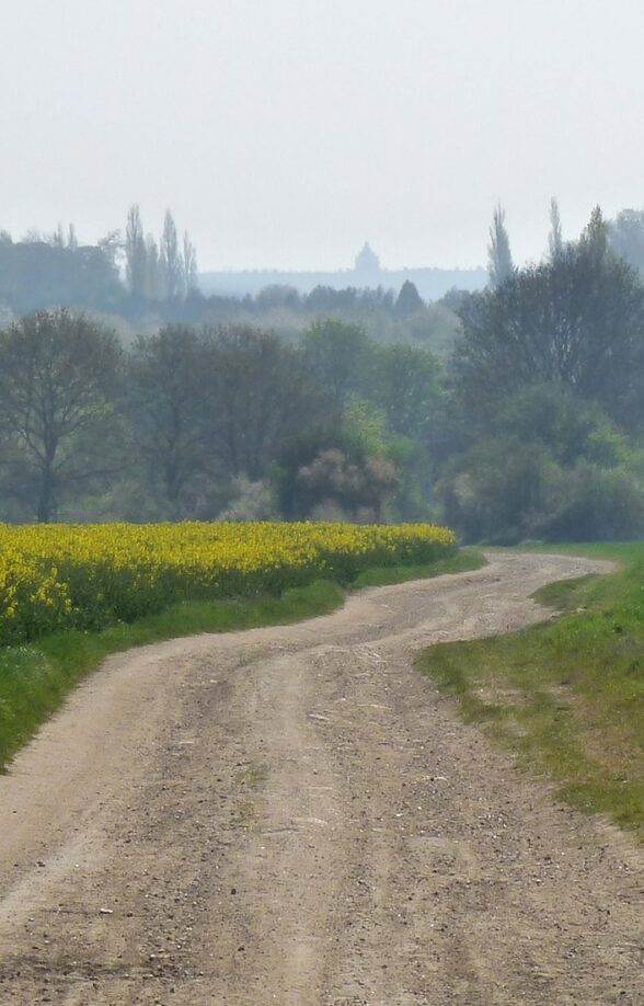Sentier des Seigneurs - Randonnée_Fontenay-le-Fleury