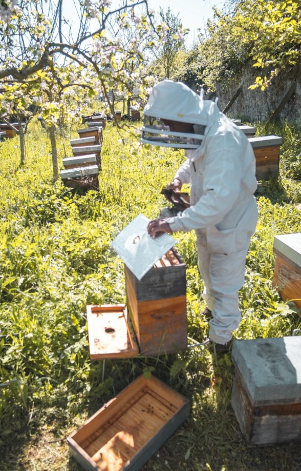 Apijym, apiculteur à Poissy