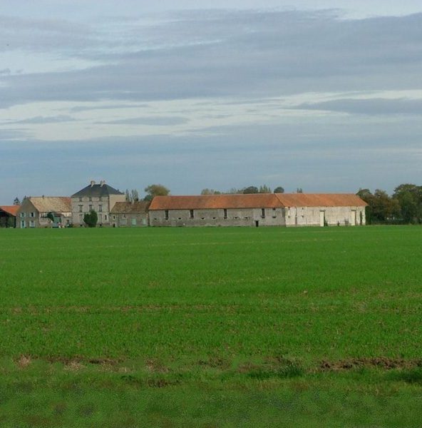 Le Mesnil Saint Denis, campagne