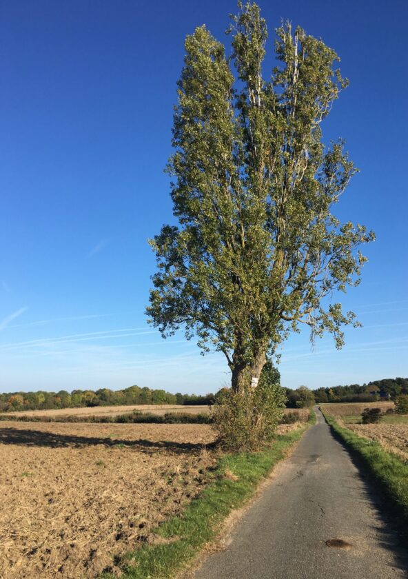 Morainvilliers
