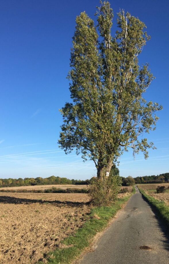 Morainvilliers