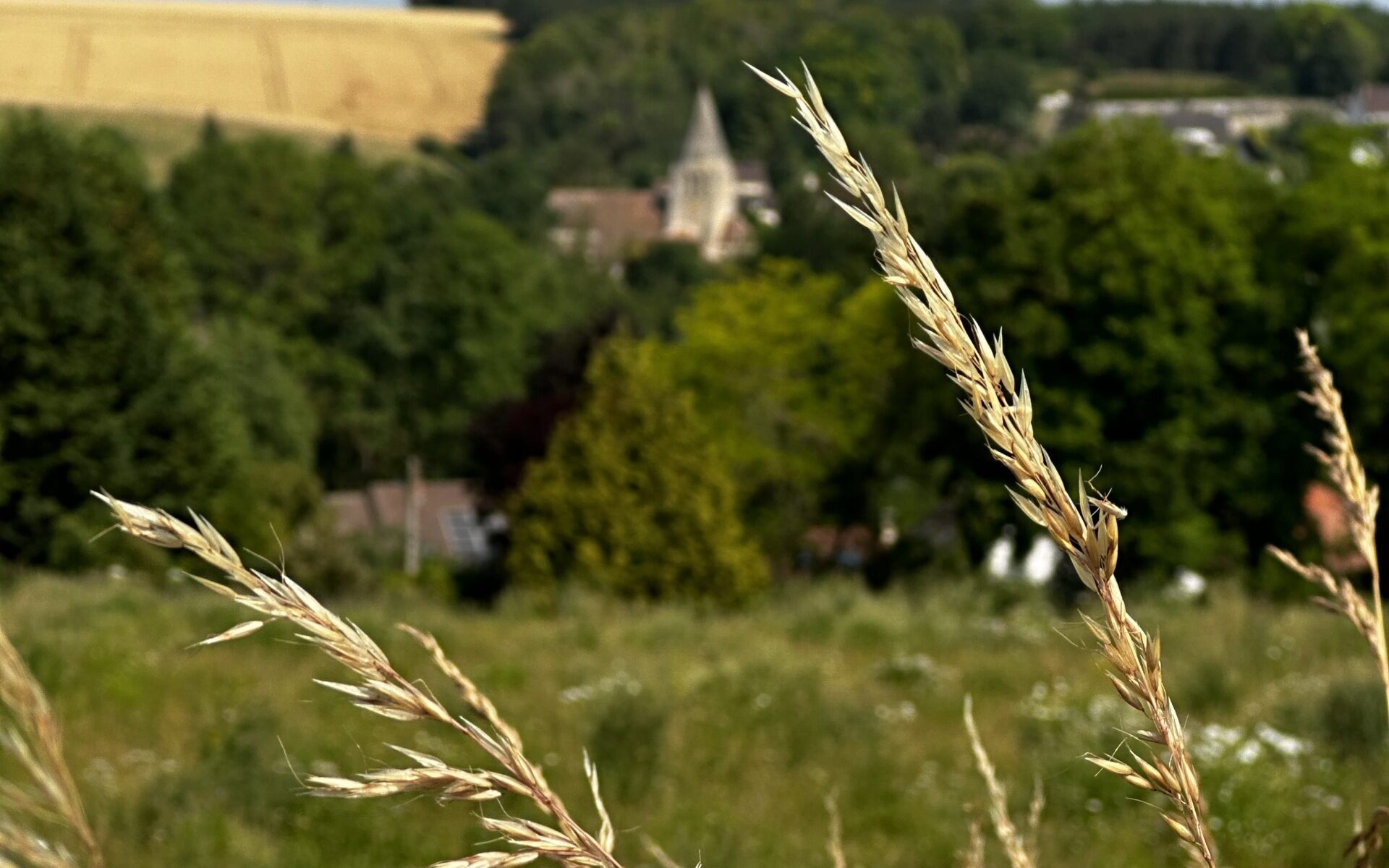 Paysage