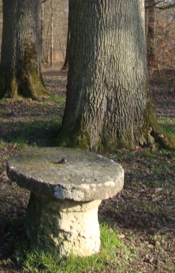 Départ - Table de vènerie