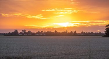 Lever de soleil sur la campagne yvelinoise