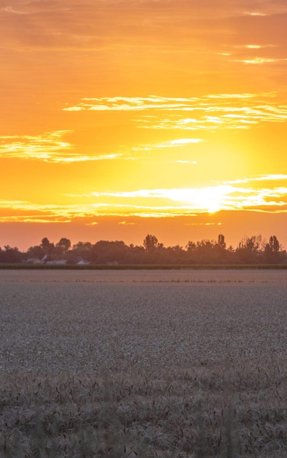 Lever de soleil sur la campagne yvelinoise