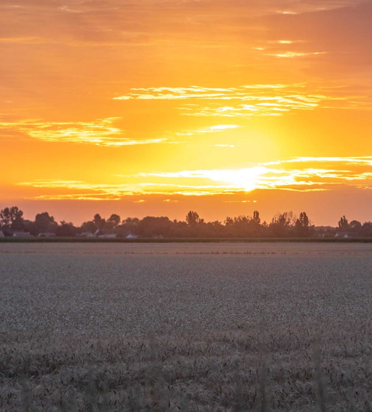 Lever de soleil sur la campagne yvelinoise