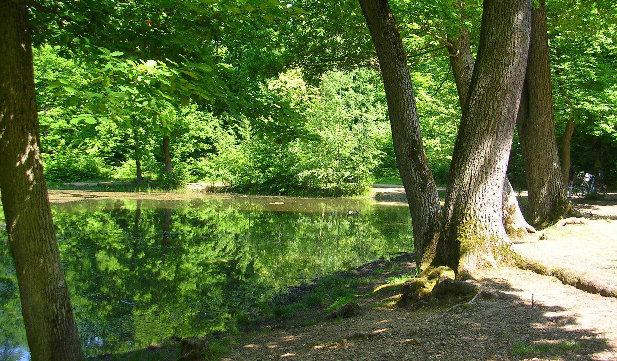 Etape 6 - La mare aux canes