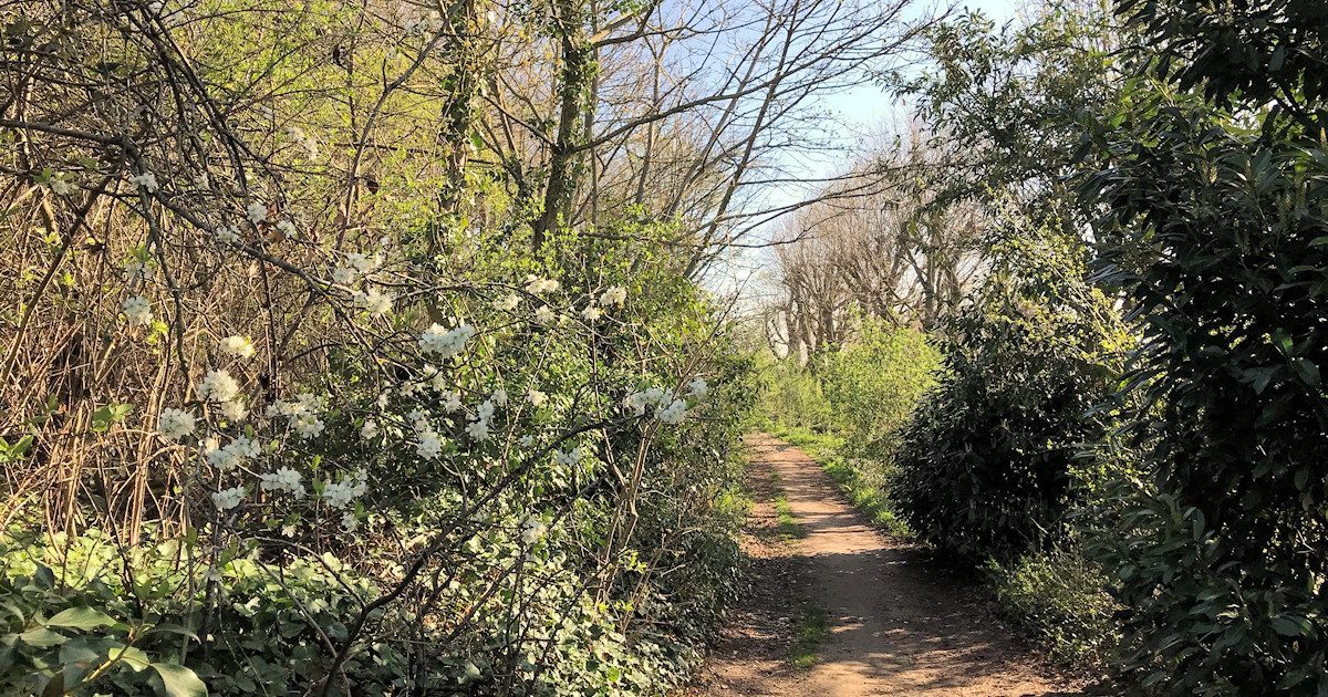 Etape 2 - La forêt du Clos de la Salle