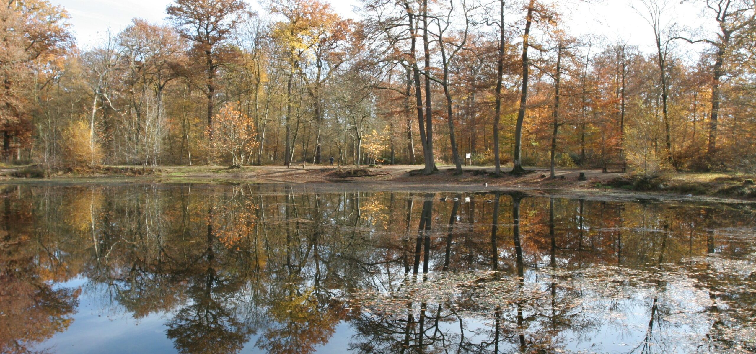 Etape 7 - La mare aux canes