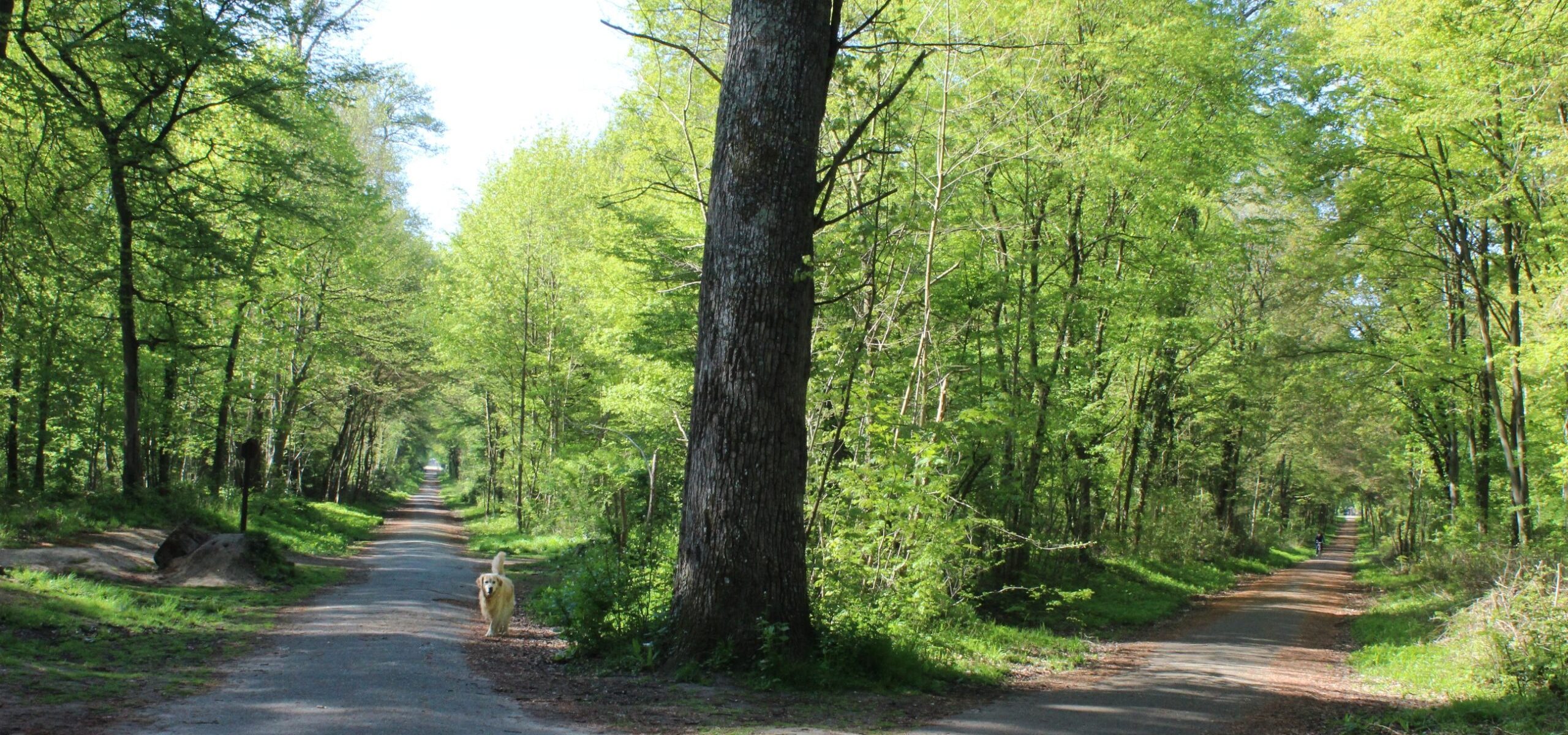 Etape 7 - Etoile d'Actéon