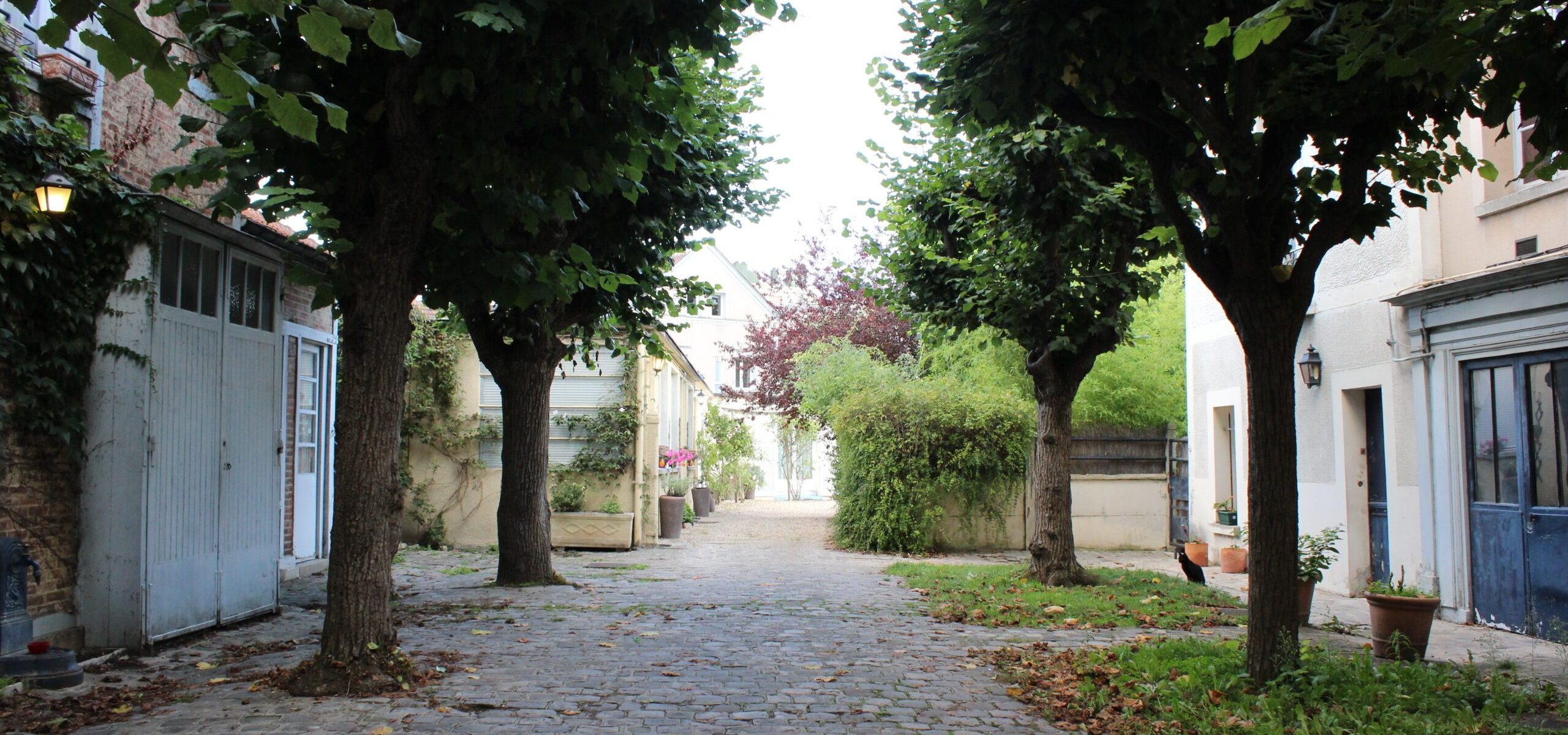Etape 8 - rue Saint-Pierre