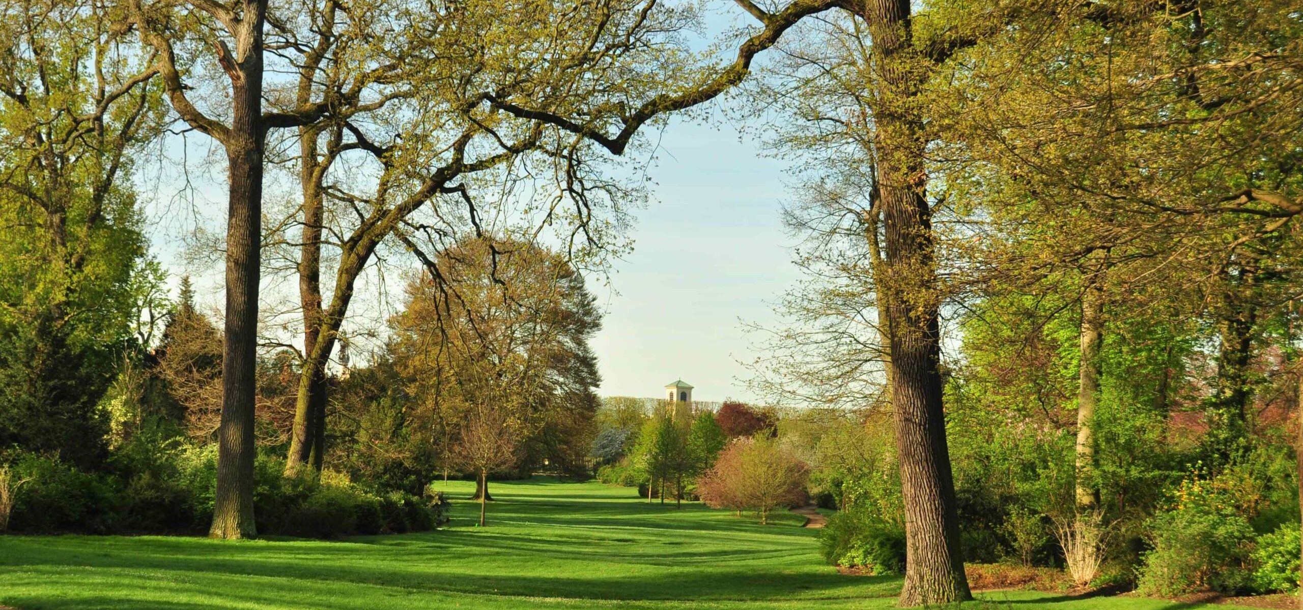 Etape 10 - Le jardin anglais