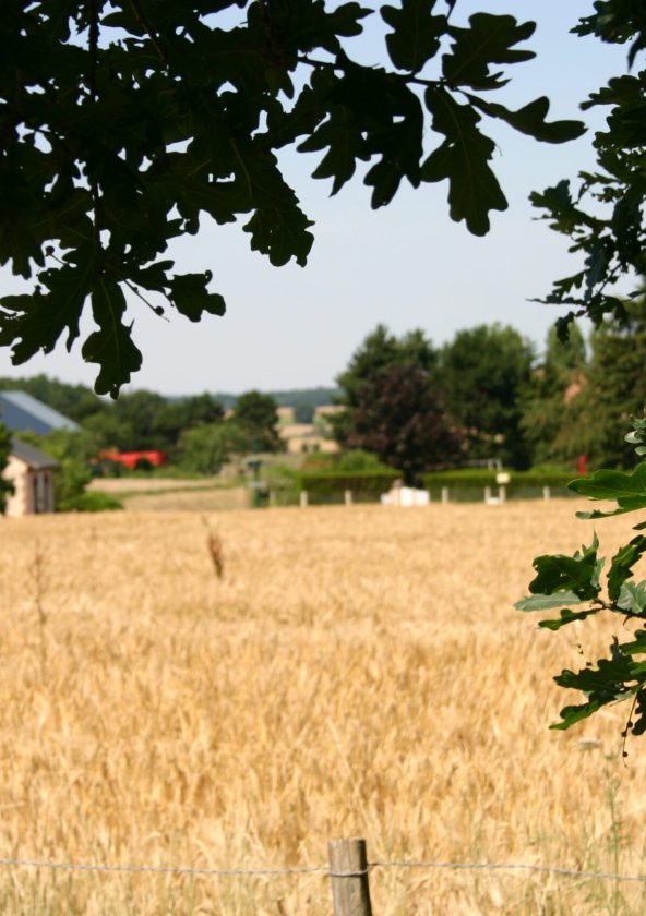 Le Tartre Gaudran