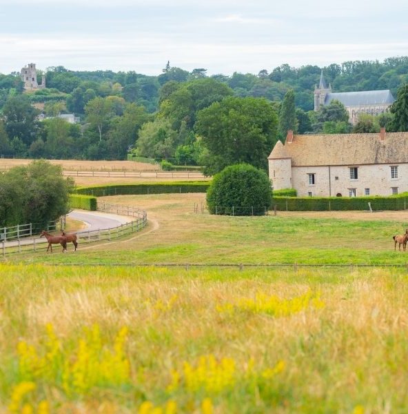 Montfort l'Amaury, vue sur la campagne