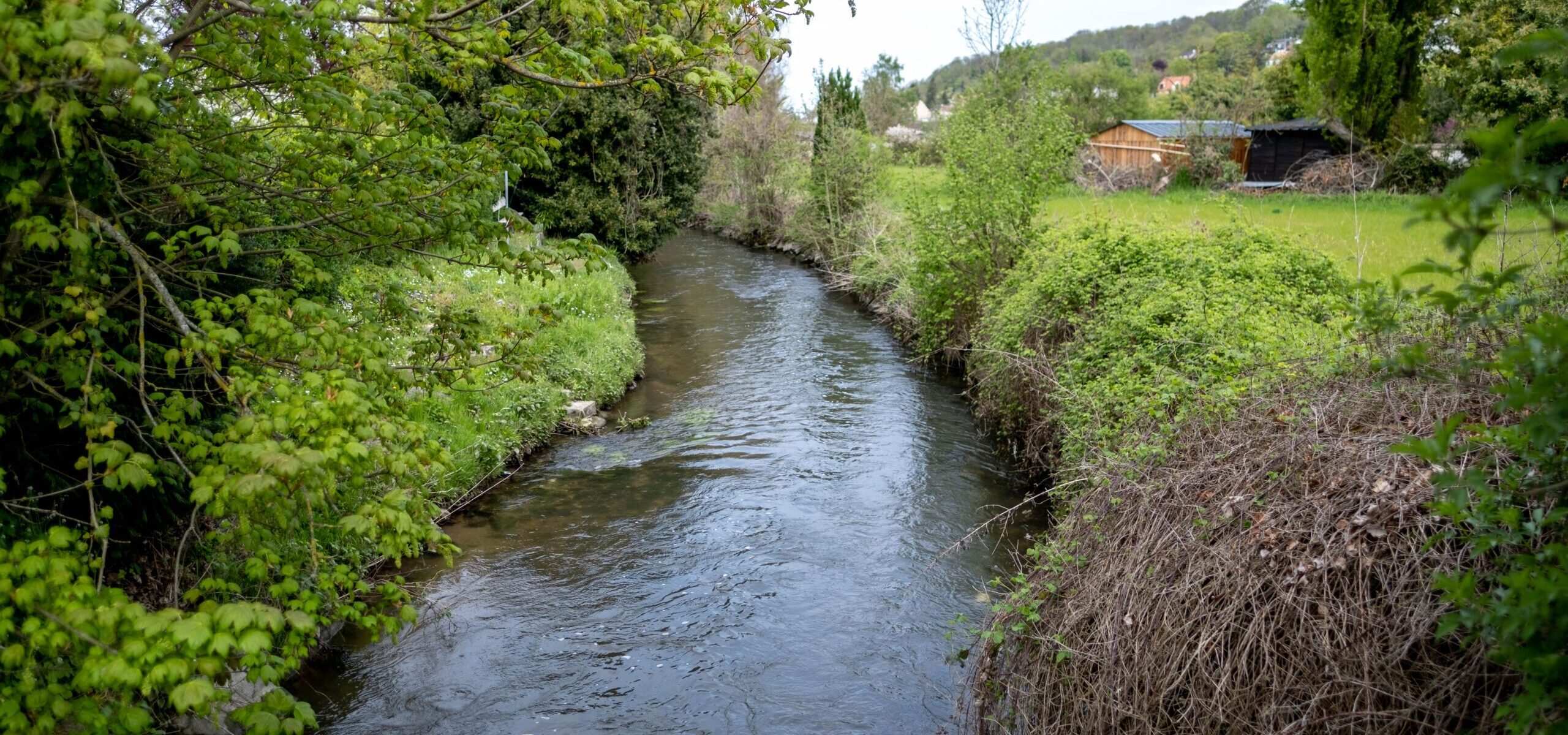 Randonnée autour de la Mauldre_Nézel