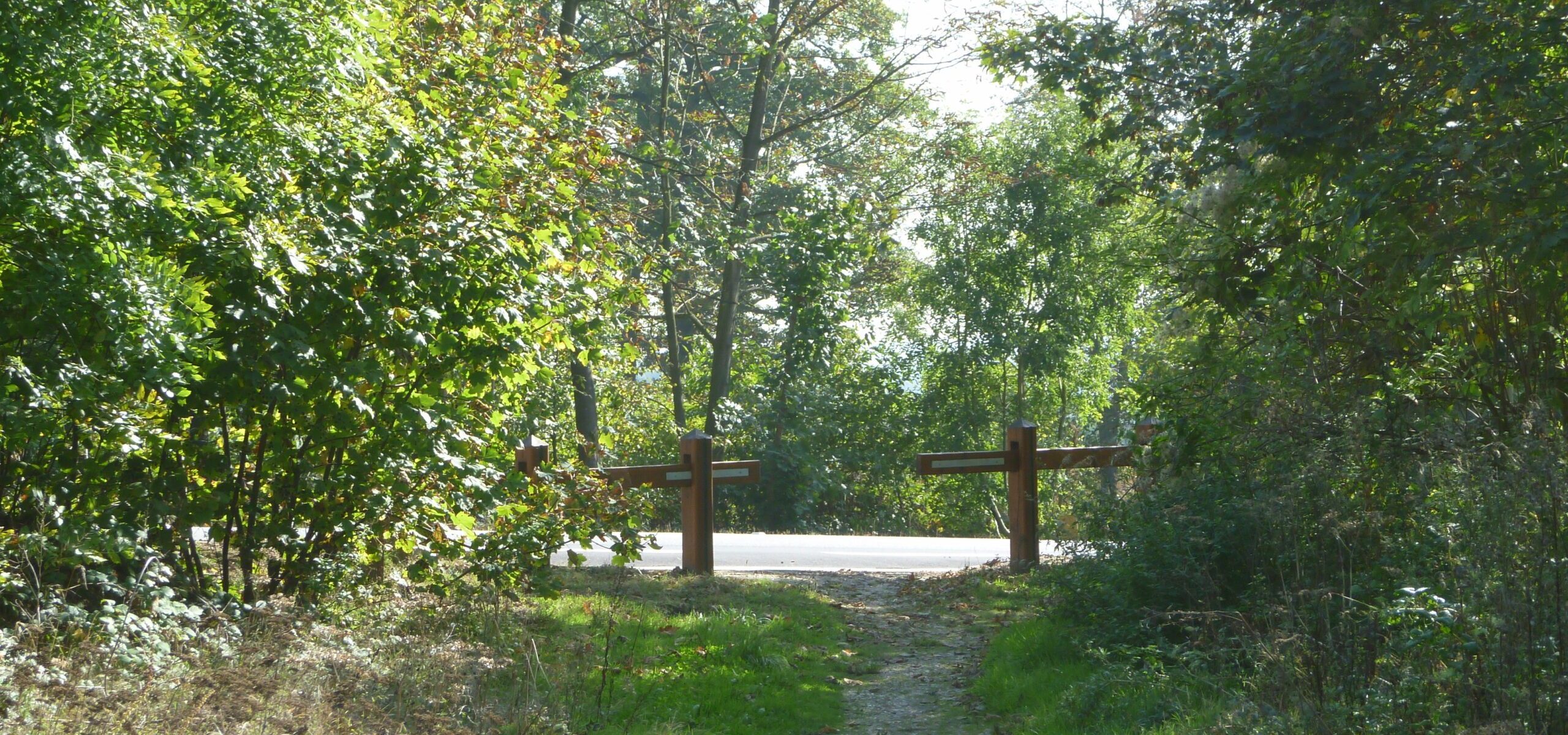 itinéraire de randonnée à vélo en forêt de Marly