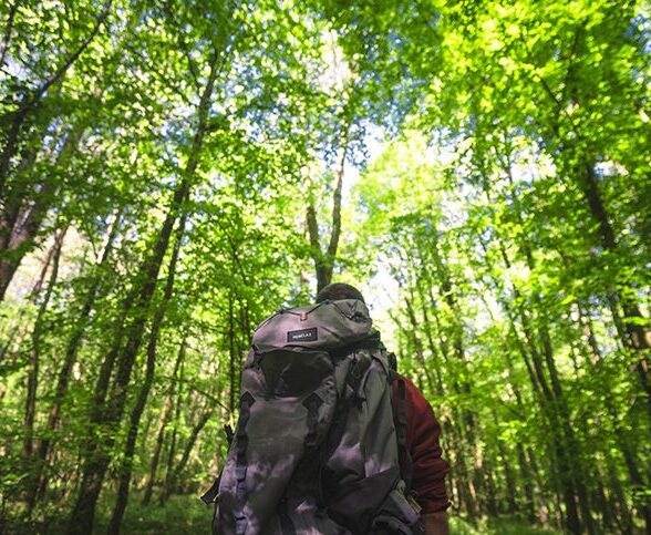 Randonnée en forêt de Rosny vers le Chêne Mademoiselle_Rosny-sur-Seine