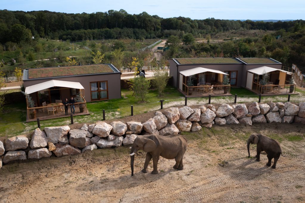 Lodge Thoiry Elephant