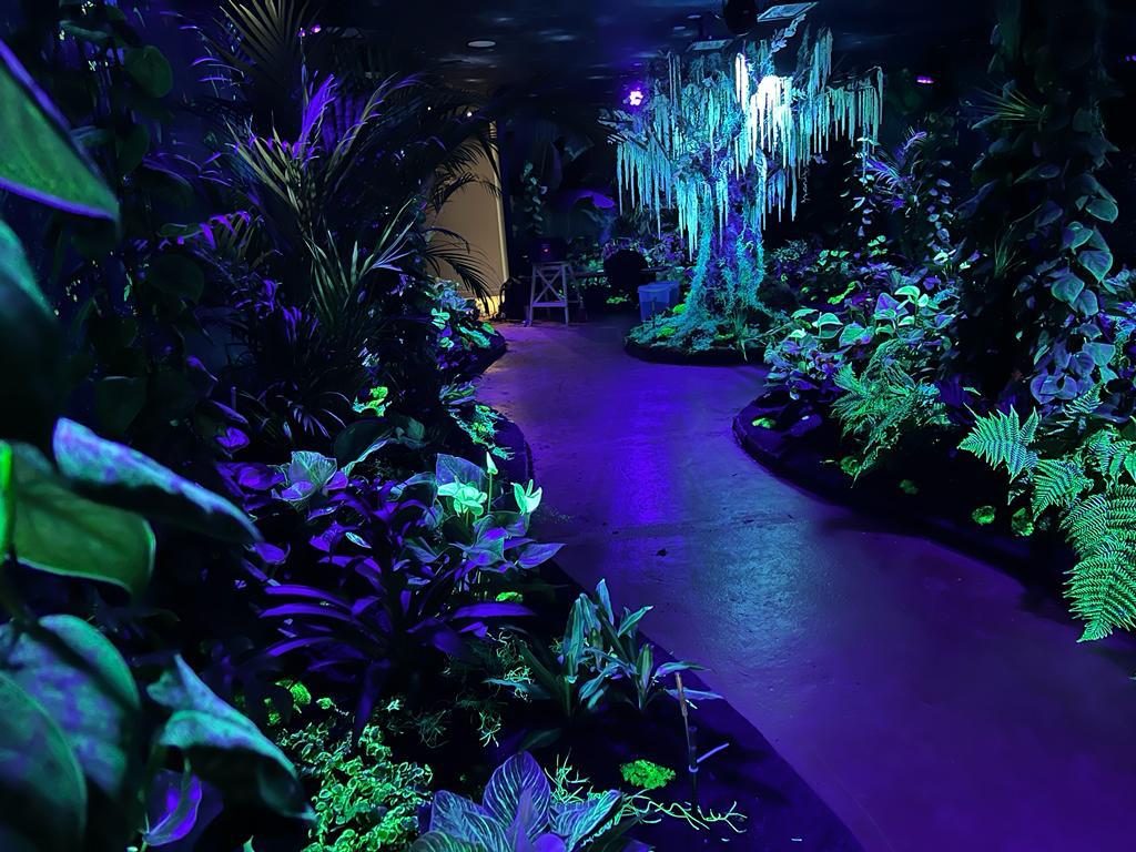 Jungle Luminescente
