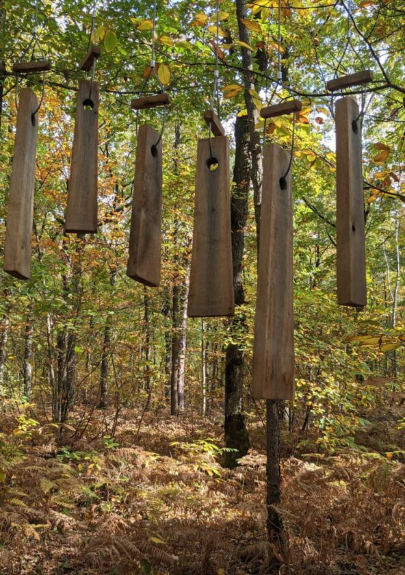 Parcours « Le gobelin de Méridon » et « Balade en compagnie d’un forestier » en forêt départementale de Méridon_Chevreuse