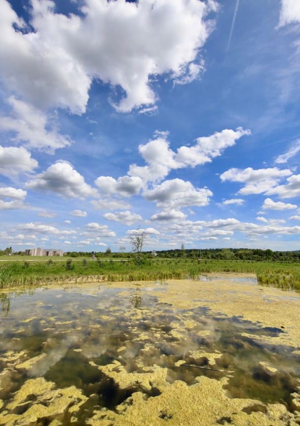 Parc du Peuple de l'herbe à Carrières-sous-Poissy