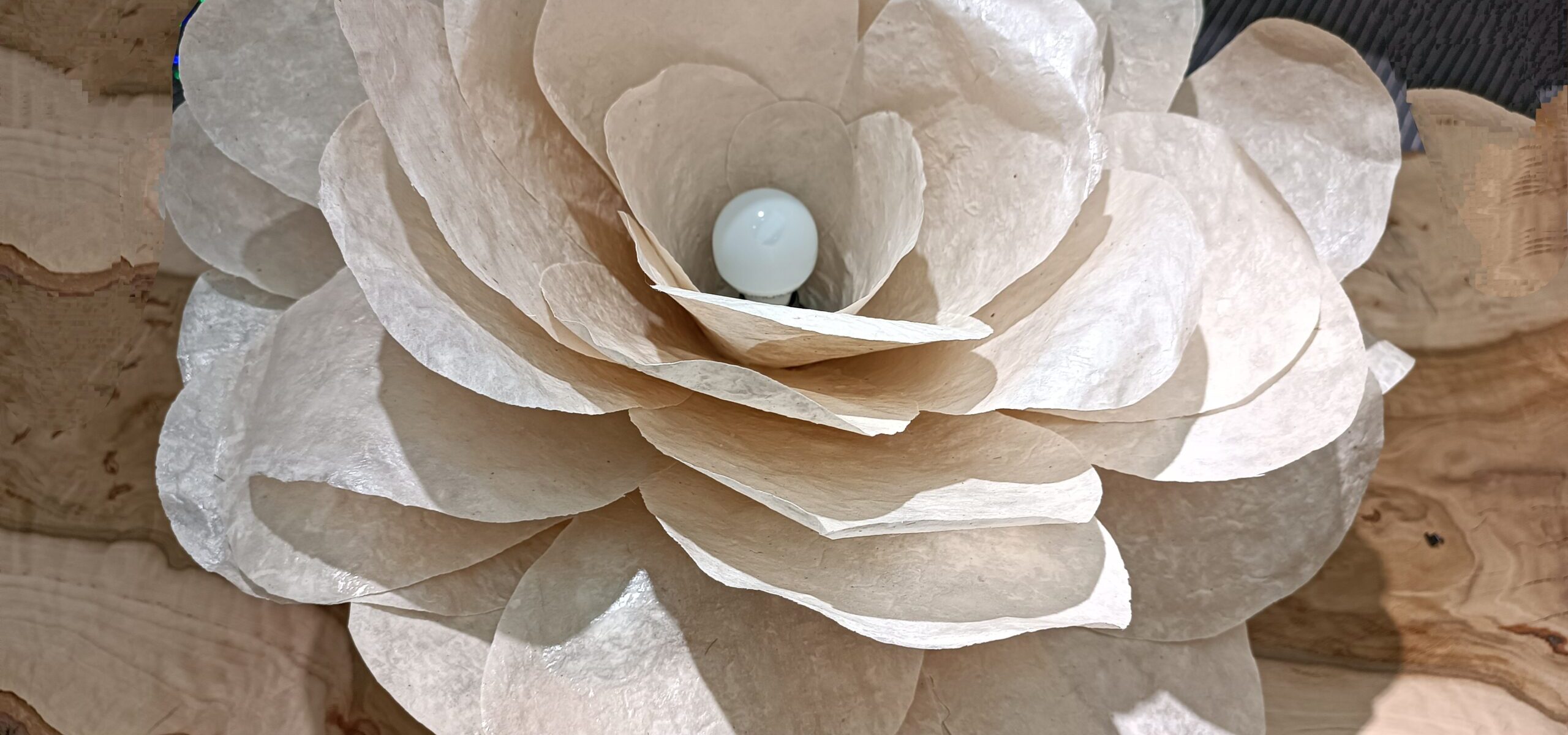 Luminaire (papier)