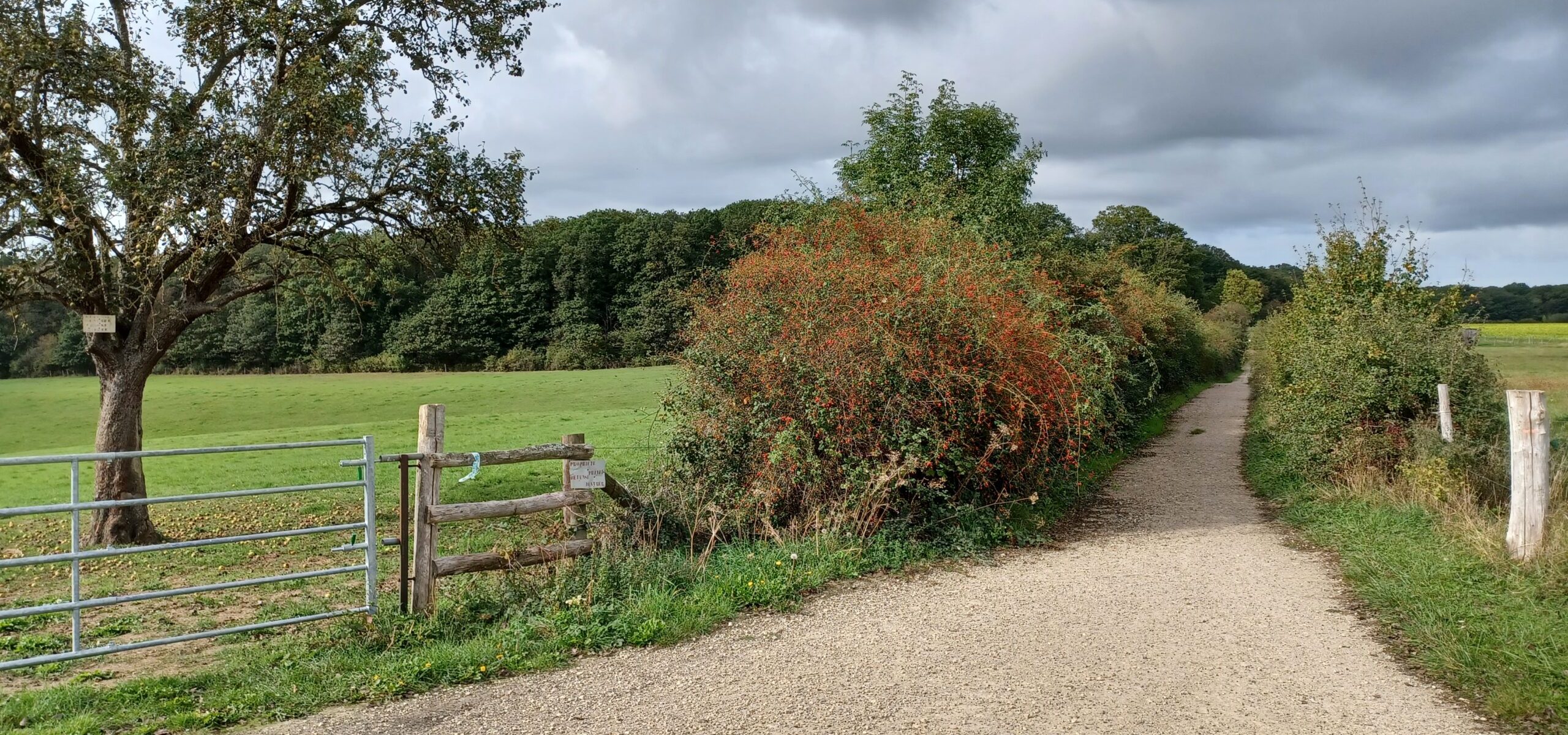 Accès direct à la forêt