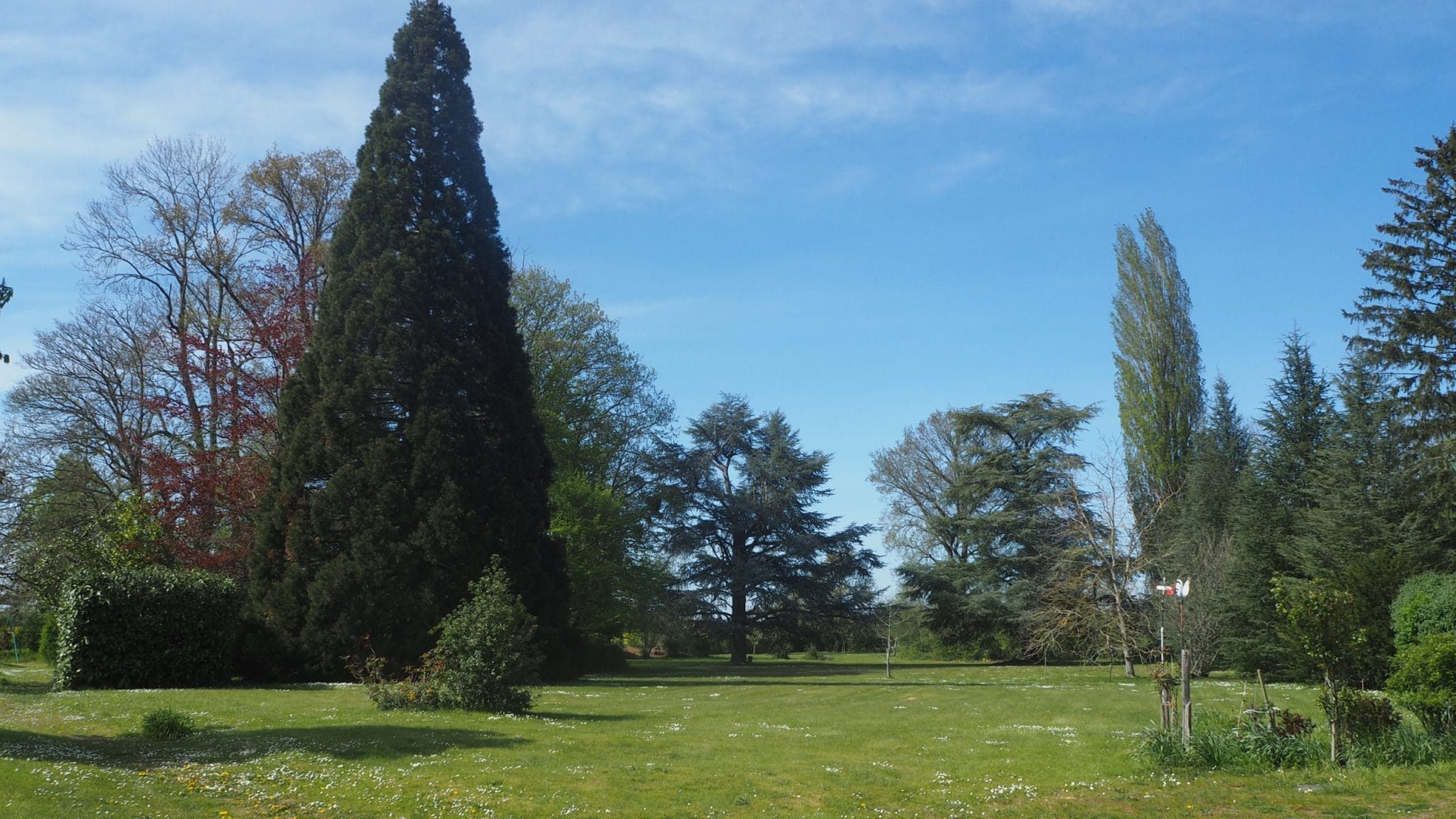 Parc de 1ha arboré