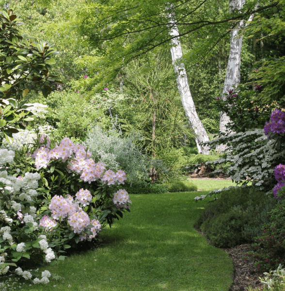 Jardin des Aubépines