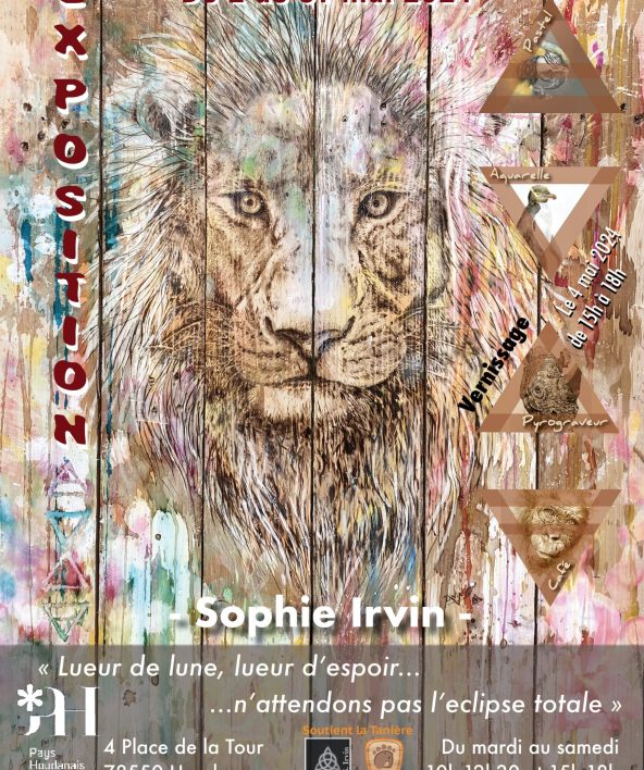 exposition Sophie Irvin