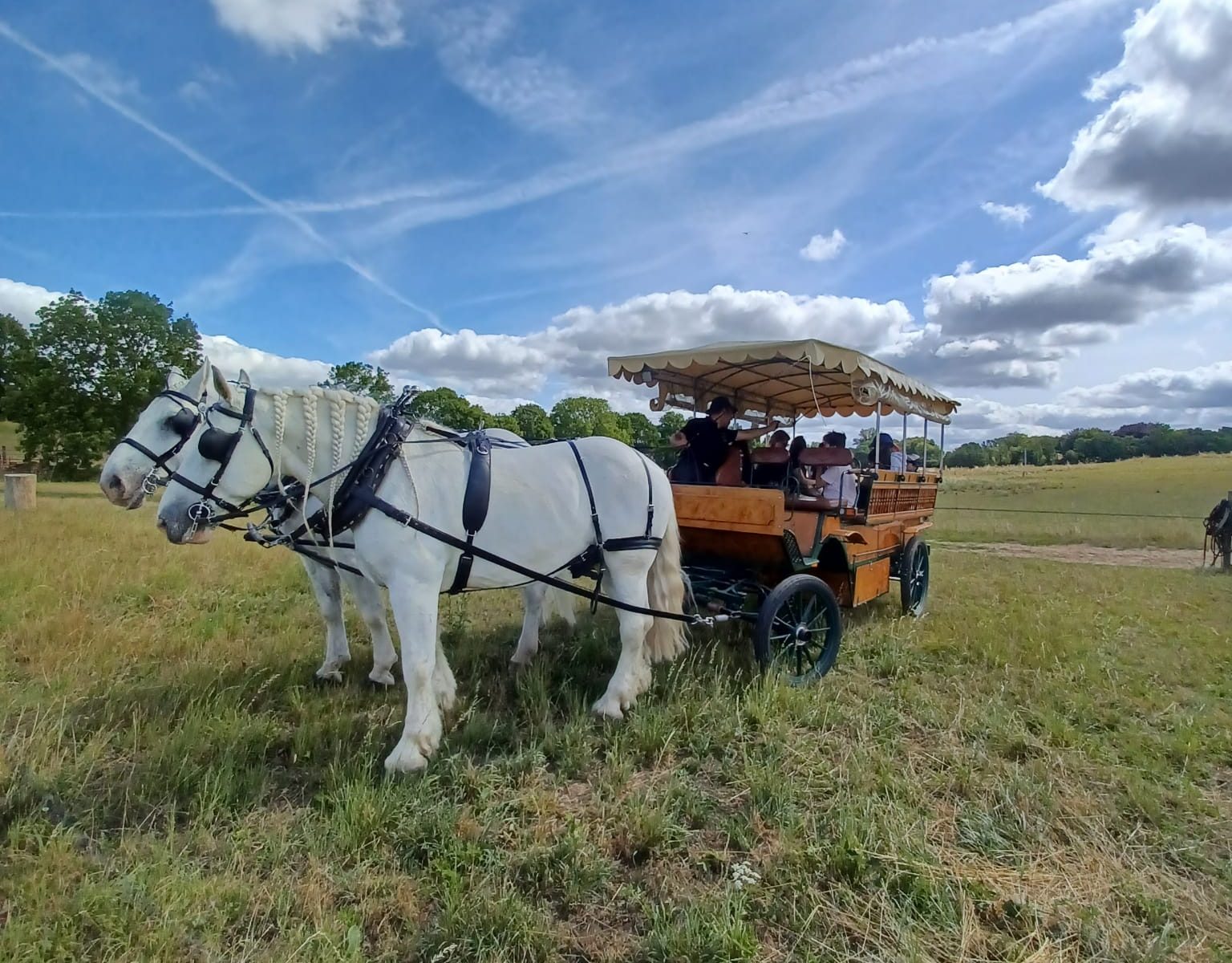 Les Calèches de Versailles