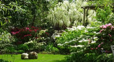 Jardins de sonja-Le Perray-en-Yvelines