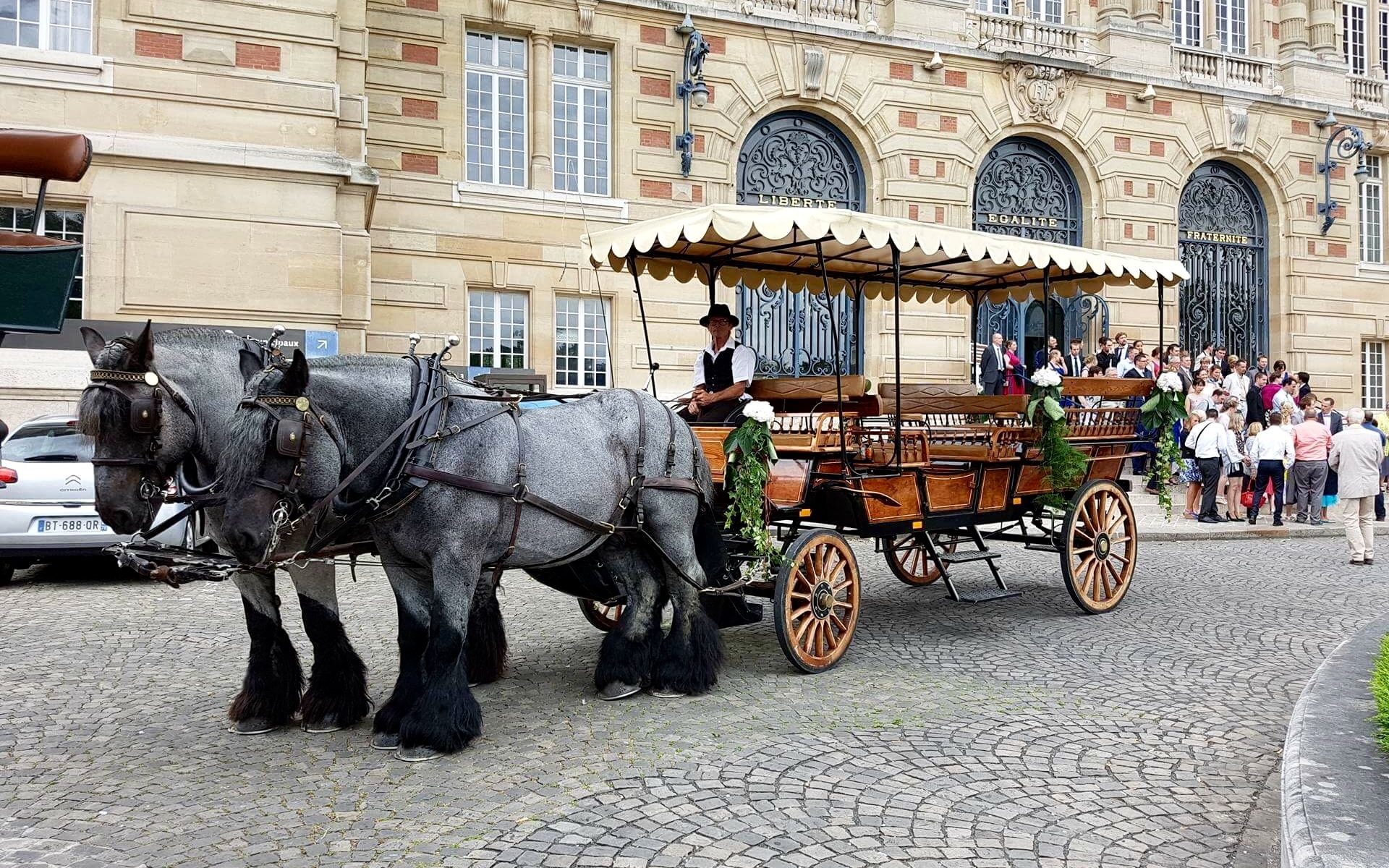 Les Calèches de Versailles