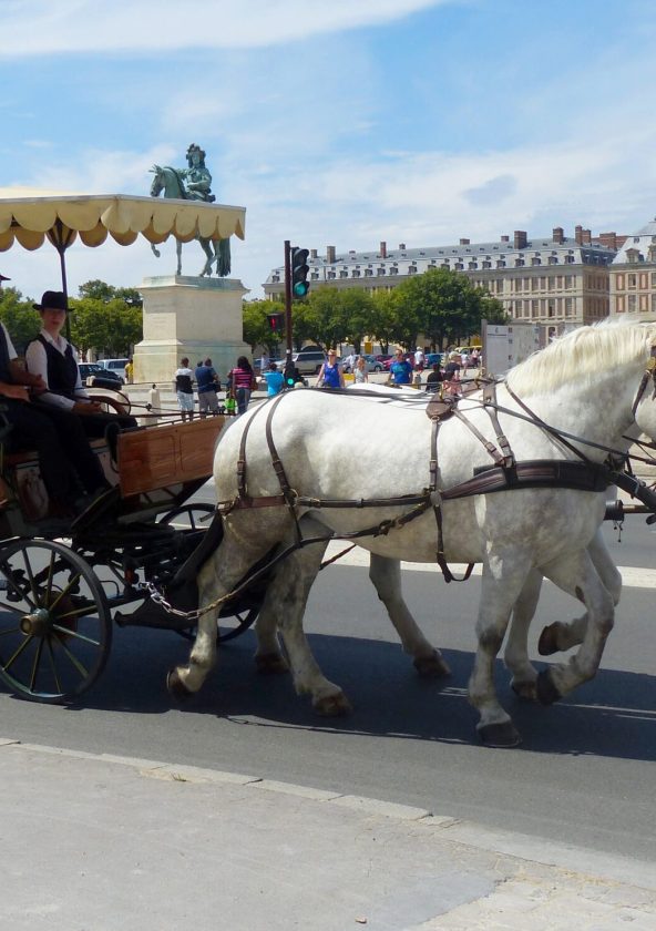 Les calèches de Versailles