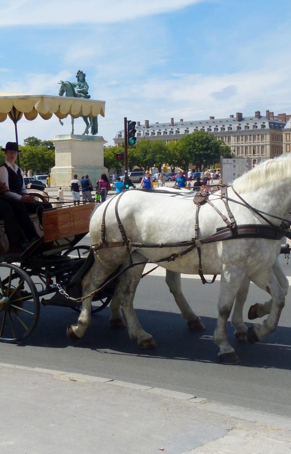 Les calèches de Versailles