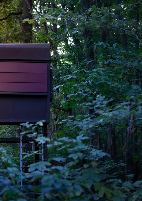 Les Tanières : nuit en immersion avec les ours_Thoiry