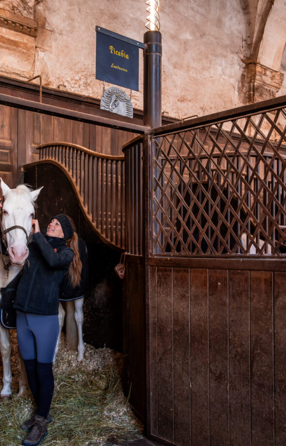 Dans les coulisses de l'Académie équestre (visite guidée)_Versailles