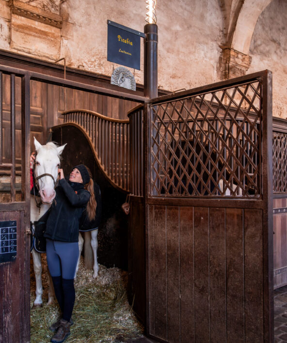 Dans les coulisses de l'Académie équestre (visite guidée)_Versailles