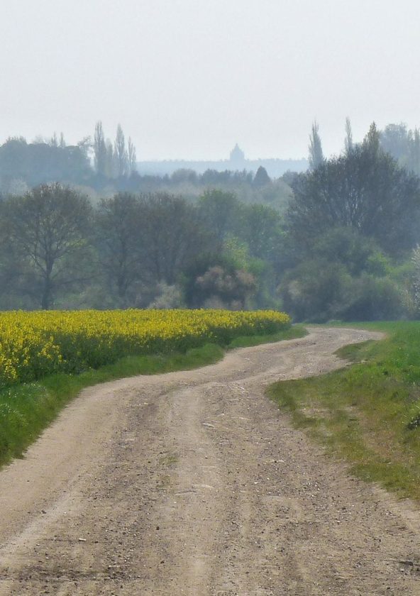 Allée Royale de Villepreux