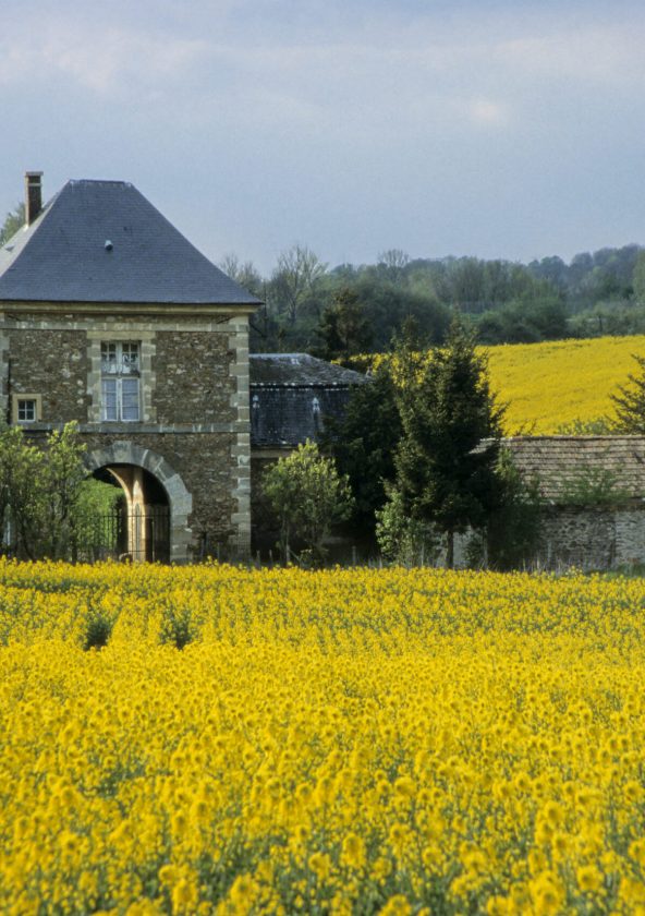 Toussus le Noble