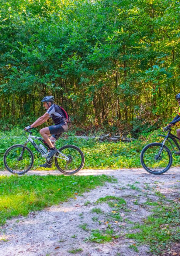 Forêt de Rambouillet en vélo