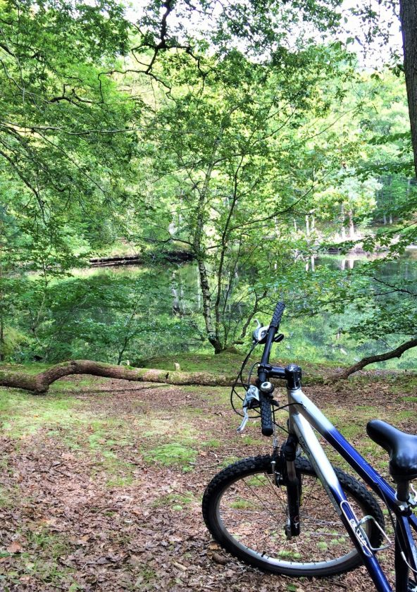 Randonnée en vélo
