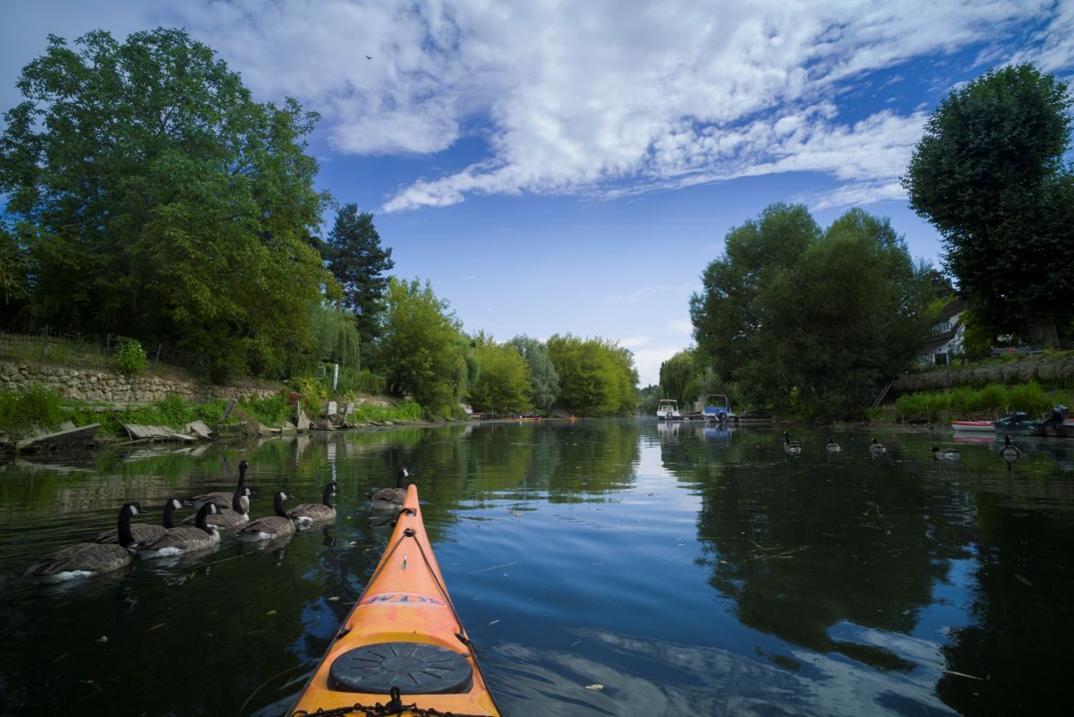 Club de kayak et paddle_Villennes-sur-Seine
