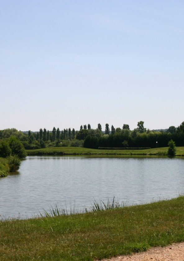 Etang de Condé sur Vesgre_Condé-sur-Vesgre