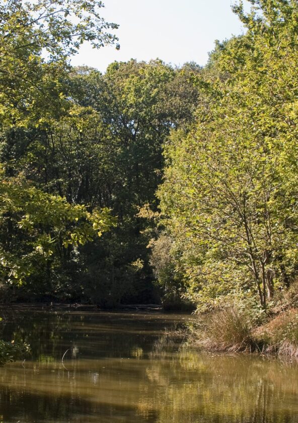 Parcours « La quête de Flamme » en forêt départementale des Flambertins_Crespières